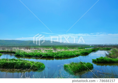 Raised Bog of Pasicle Swamp (Hokkaido) 78688157