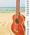 Sandy beach ukulele [vertical] 78688569