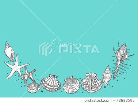 寫實貝殼線描，下框，橫長 78688593