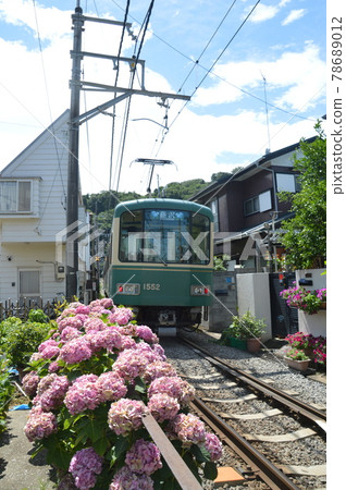 Enoden和Ajisai 78689012