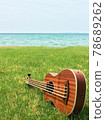 Ukulele on a hill with a view of the sea [vertical] 78689262