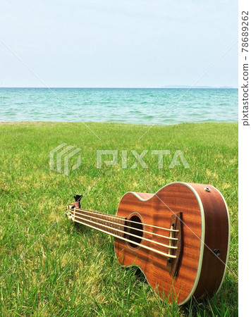 Ukulele on a hill with a view of the sea [vertical] 78689262