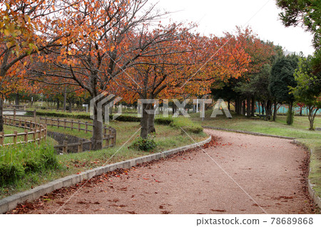 自然豐富的公園中的步行道和秋葉 自然豐富的公園中的步行道和秋葉 78689868