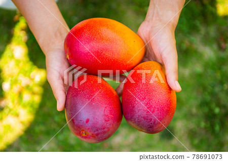 This is delicious This is delicious 78691073