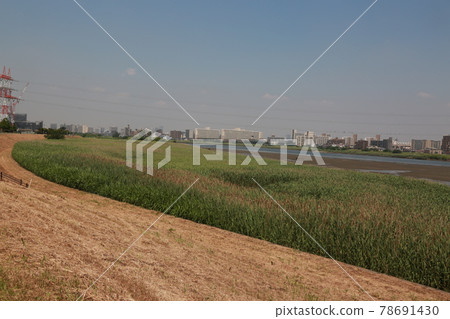 I walked on the bank of six words on a sunny day 78691430