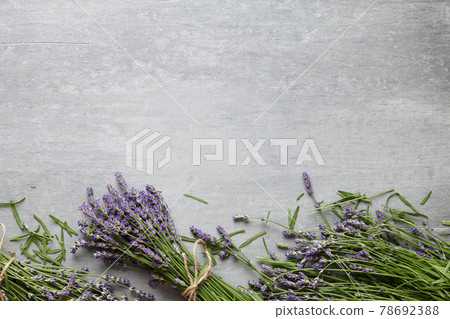 Fresh lavender flowers on gray concrete background 78692388