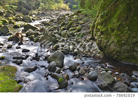 [Amanoyasukawara Shrine (Iwato River)] Iwato, Takachiho Town, Nishiusuki District, Miyazaki Prefecture 78692819