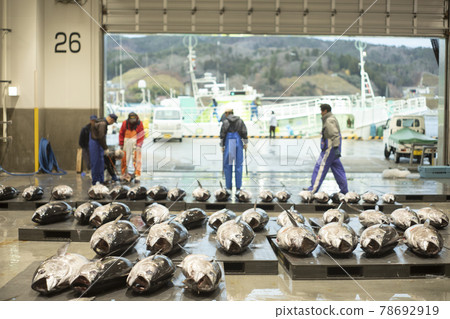 Port market fisherman fisherman auction site 78692919