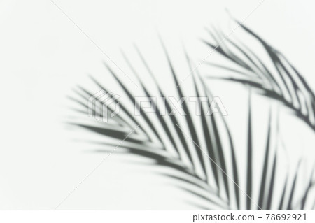 Shadow palm overlay background. Blurred shadow of a tropical branch of a palm tree on a white light wall on a sunny day. Shadow palm overlay background. Blurred shadow of a tropical branch of a palm tree on a white light wall on a sunny day. 78692921
