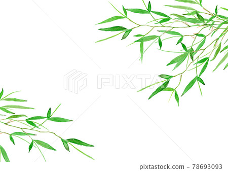Bamboo leaf watercolor illustration frame 78693093