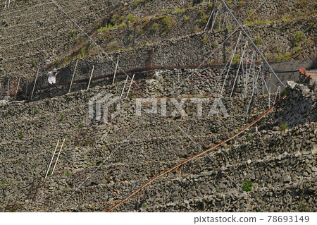 Grandma taking a walk in the terraced fields of Yusumizugaura Grandma taking a walk in the terraced fields of Yusumizugaura 78693149