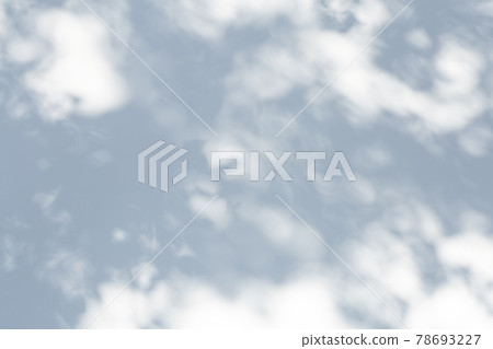 Shadow overlay effect for photo. Shadows from tree leaves and tropical branches on a white wall in sunlight. Shadow overlay effect for photo. Shadows from tree leaves and tropical branches on a white wall in sunlight. 78693227