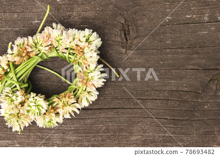 Background_Back_Texture_642_Flower decoration Background_Back_Texture_642_Flower decoration 78693482