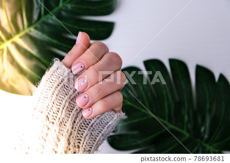 Woman hands with beautiful nude manicure on palm leaf. Female Manicure, natural look. Nails care. Self care. 78693681