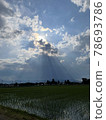 Divine and mysterious sky and rice fields 78693786