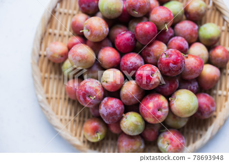 新鮮茄子 78693948