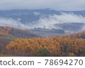 Trees standing on the hill of the sea of clouds_Autumn distant view 78694270