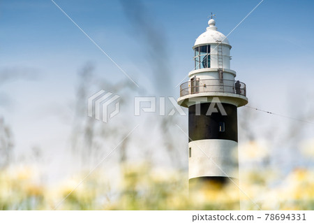 黑白燈塔 78694331