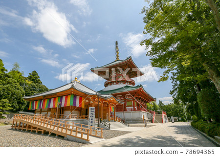 千葉縣成田市成田山新勝寺 愛王與和平大塔 千葉縣成田市成田山新勝寺 愛王與和平大塔 78694365