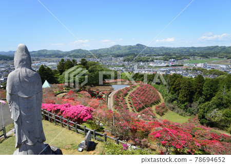 I went to Kasama Tsutsuji Park # 35 I went to Kasama Tsutsuji Park # 35 78694652