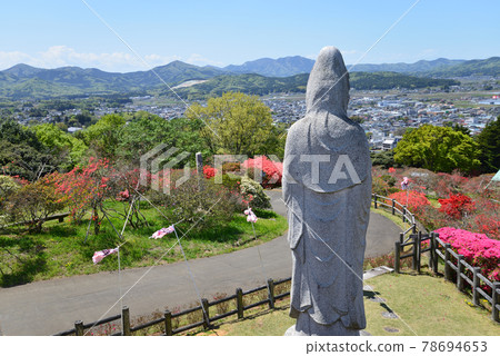 I went to Kasama Tsutsuji Park # 34 I went to Kasama Tsutsuji Park # 34 78694653