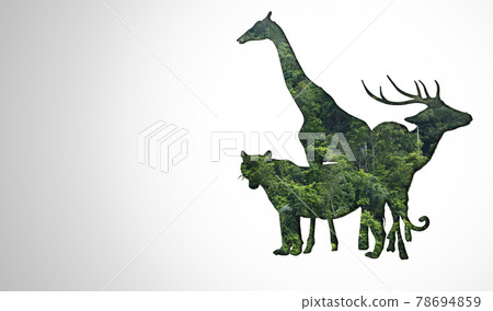 African safari and Asian animals in the theme illustration, filled with many animals, a white border image African safari and Asian animals in the theme illustration, filled with many animals, a white border image 78694859