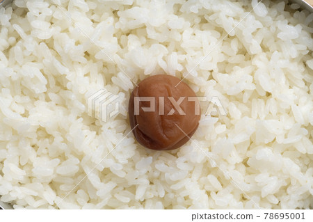 Hinomaru bento (overhead view) up 78695001