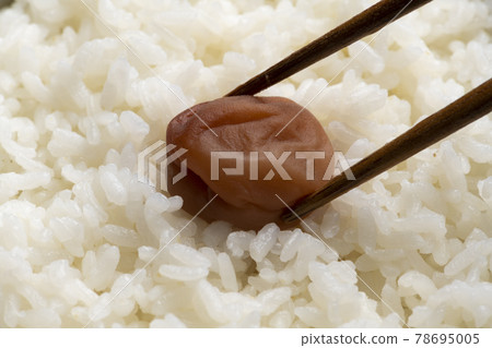 日野圈Bento 78695005