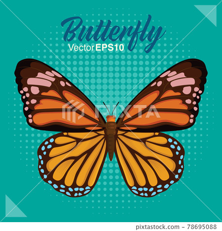 Butterfly vector illustration Butterfly vector illustration 78695088