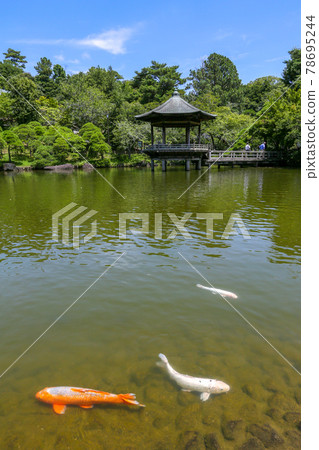 千葉縣成田市成田山新勝寺成田山公園龍池之池和浮見堂 照片素材 圖片 圖庫