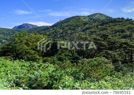 從白座山看南月山和茶臼山 78695581