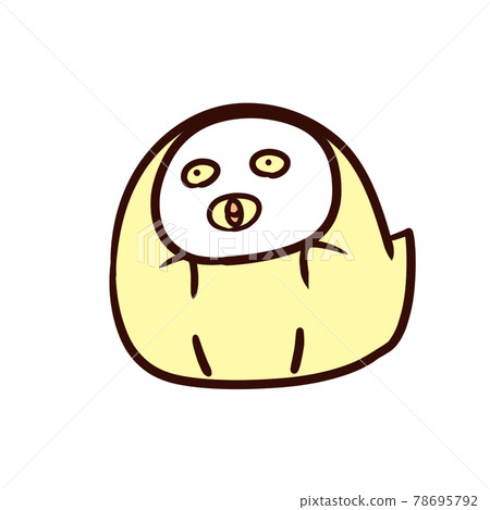 Chick to pack Chick to pack 78695792