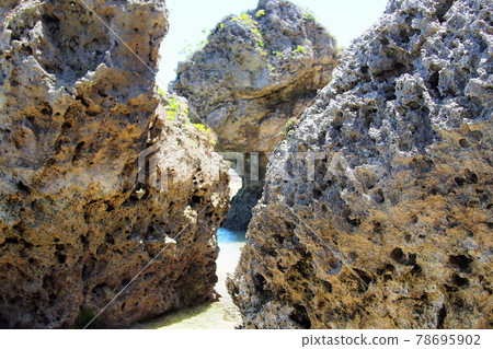 Okinawa Ryukyu limestone 78695902