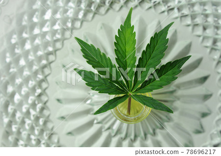 Marijuana oil, cbd recreation. Fresh cannabis leaf close up. Home relaxation, pastime therapy. Marijuana oil, cbd recreation. Fresh cannabis leaf close up. Home relaxation, pastime therapy. 78696217