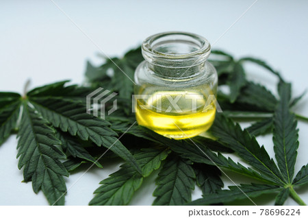 Marijuana oil, cbd recreation. Fresh cannabis leaves close up, isolated on white background. Marijuana oil, cbd recreation. Fresh cannabis leaves close up, isolated on white background. 78696224