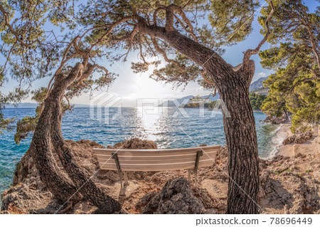 Alone bench with pine trees in Croatia against sunset in Brela, Dalmatia, Croatia 78696449