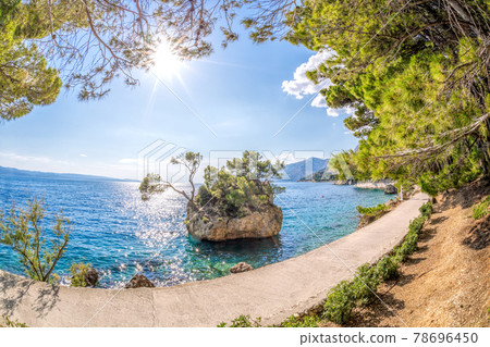 Famous Punta Rata beach with azure sea in Brela, Dalmatia, Croatia 78696450