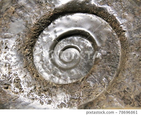 Fossil of ammonite 78696861