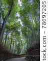 京都S峨野的竹林 78697205
