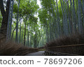 京都S峨野的竹林 78697206