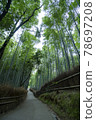 京都S峨野的竹林 78697208