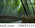 京都S峨野的竹林 78697210