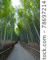 京都S峨野的竹林 78697214