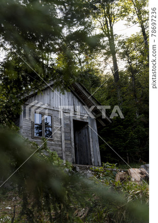 Wooden cabin in the woods at Tara mountain in Serbia 78697236