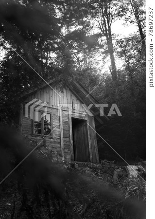 Wooden cabin in the woods at Tara mountain in Serbia Wooden cabin in the woods at Tara mountain in Serbia 78697237