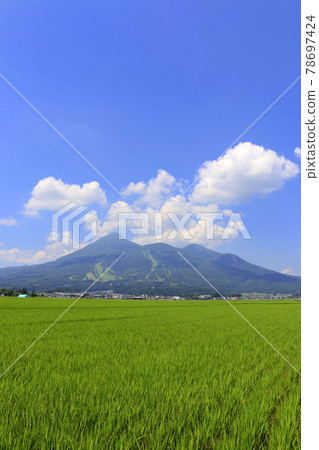 夏季稻田和萬代山（福島縣豬苗代町） 78697424