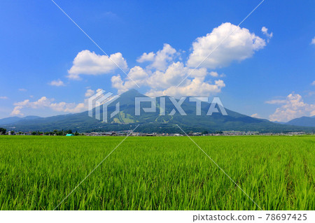 夏季稻田和萬代山（福島縣豬苗代町） 78697425