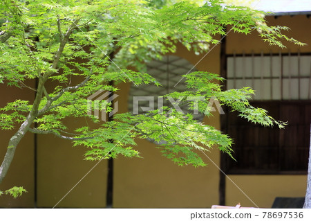 Shozan 新鮮的綠色和苔蘚花園 Shozan 新鮮的綠色和苔蘚花園 78697536
