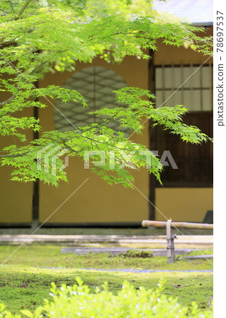 Shozan 新鮮的綠色和苔蘚花園 Shozan 新鮮的綠色和苔蘚花園 78697537