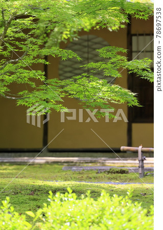 Shozan 新鮮的綠色和苔蘚花園 Shozan 新鮮的綠色和苔蘚花園 78697538